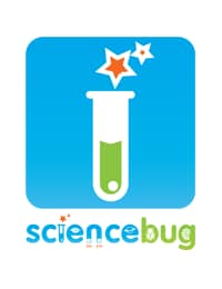 Science Bug